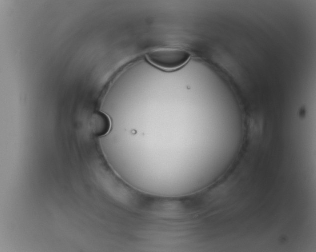 X0000113931260200910161842