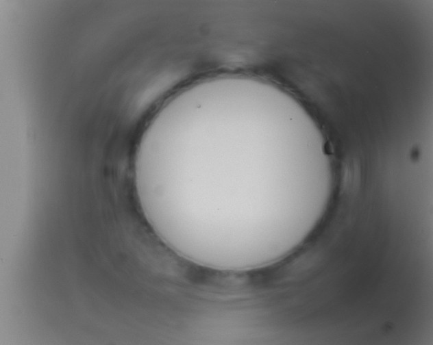 X0000113931261200910161842