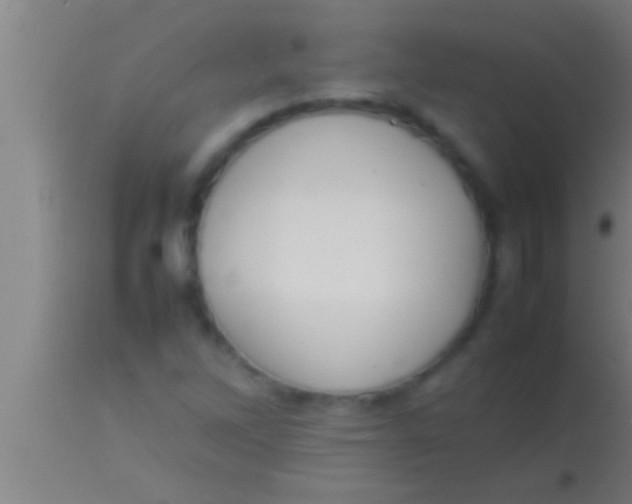 X0000113931262200910161842