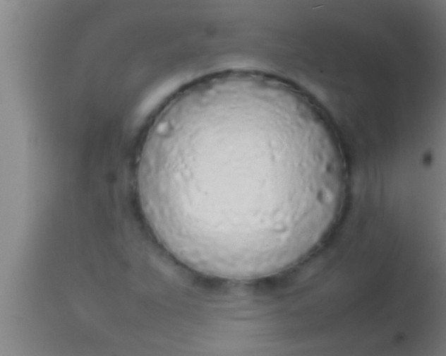 X0000113931263200910161842