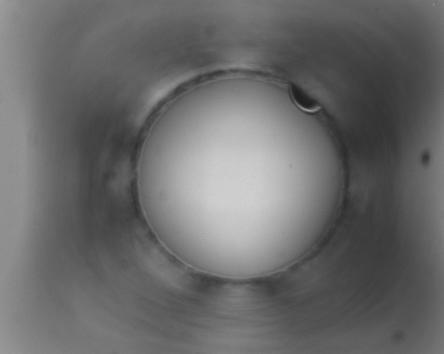 X0000113931264200910161842