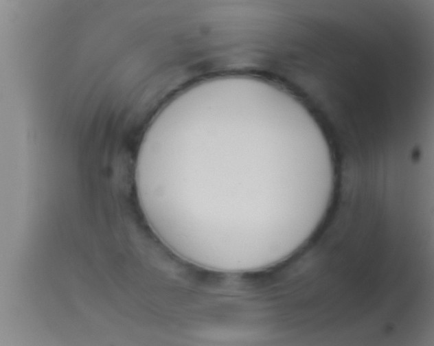 X0000113931265200910161842