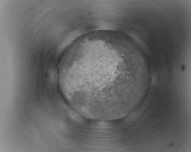 X0000113931266200910161842