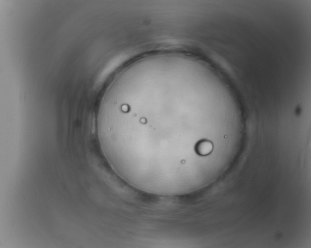 X0000113931267200910161842