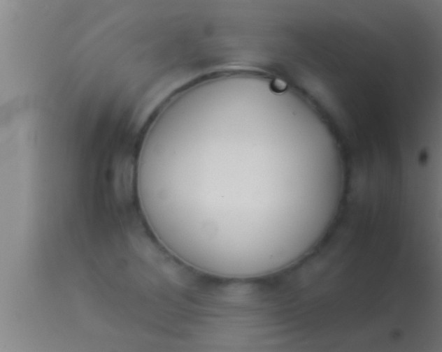 X0000113931268200910161842