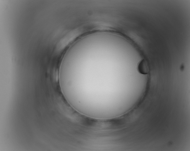 X0000113931269200910161842