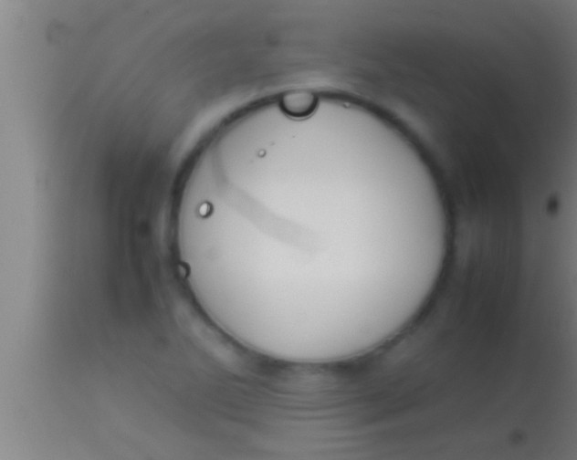 X0000113931270200910161842