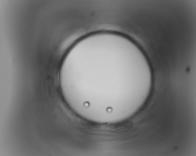 X0000113931271200910161842