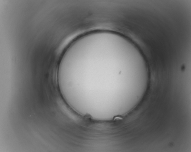 X0000113931272200910161842