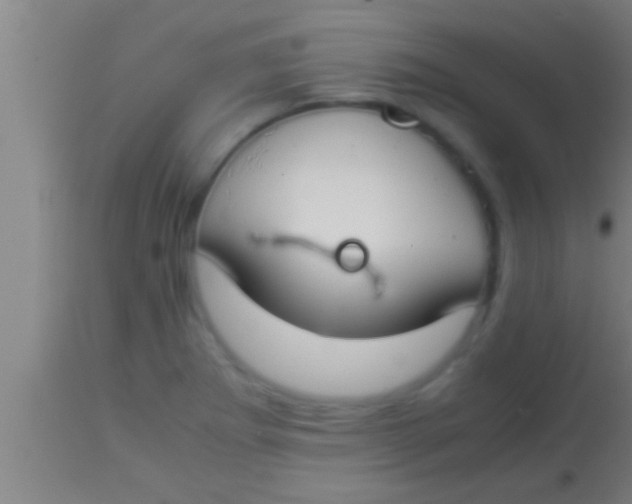 X0000113931273200910161842