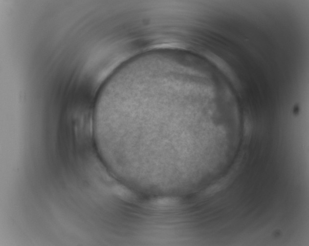 X0000113931274200910161842