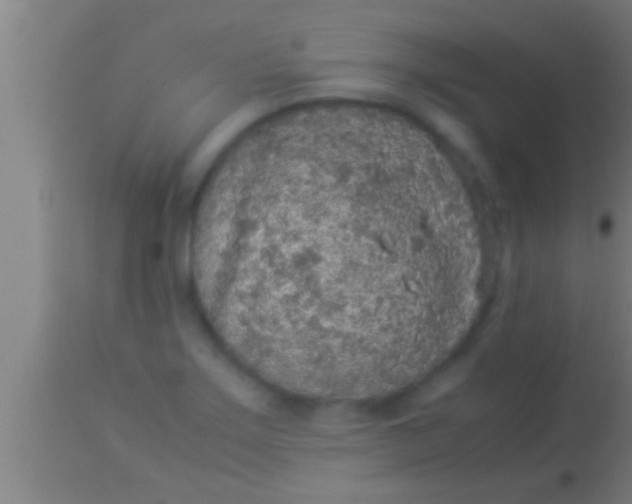 X0000113931275200910161842