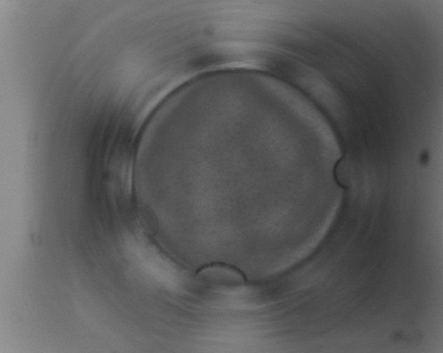 X0000113931276200910161842