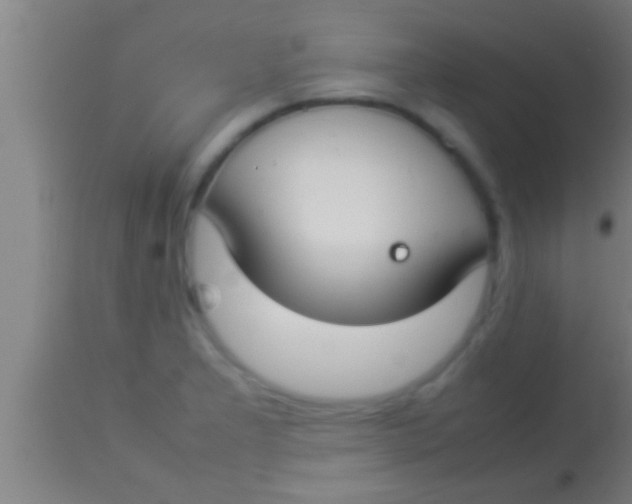 X0000113931277200910161842