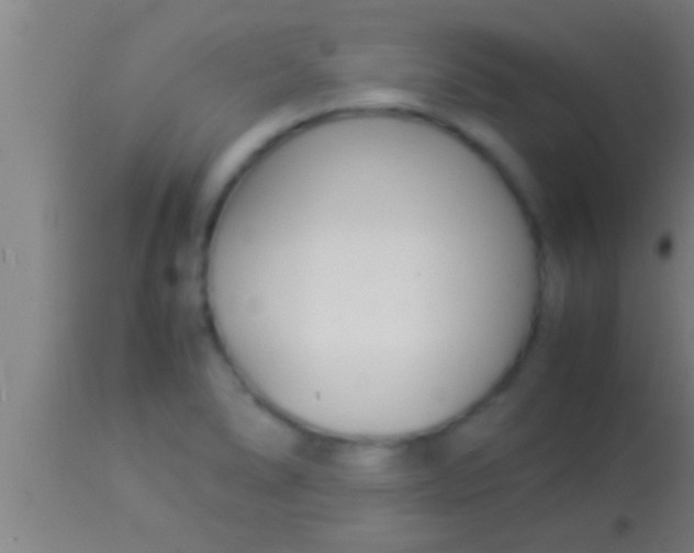 X0000113931278200910161842