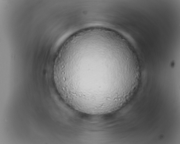 X0000113931279200910161842