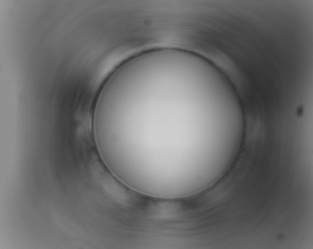 X0000113931280200910161842