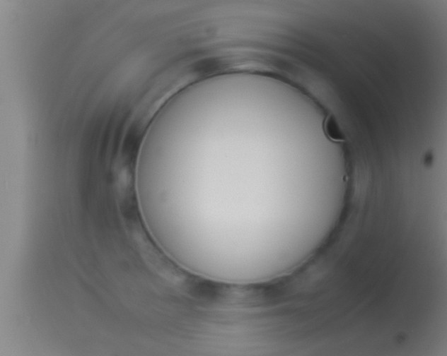 X0000113931281200910161842