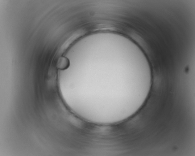 X0000113931282200910161841