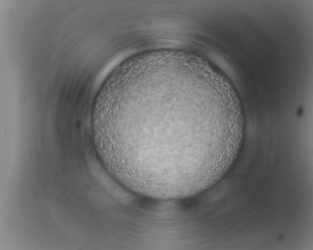 X0000113931283200910161841