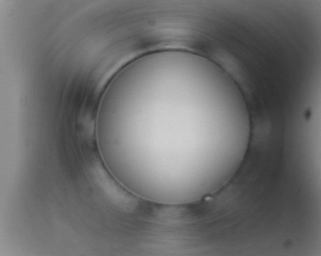 X0000113931284200910161841