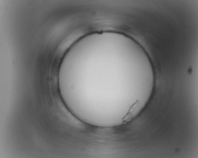 X0000113931285200910161841