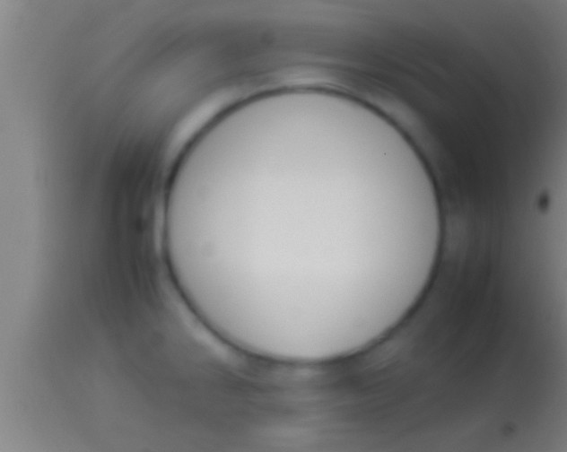 X0000113931286200910161841