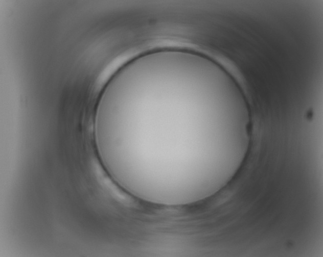 X0000113931287200910161841