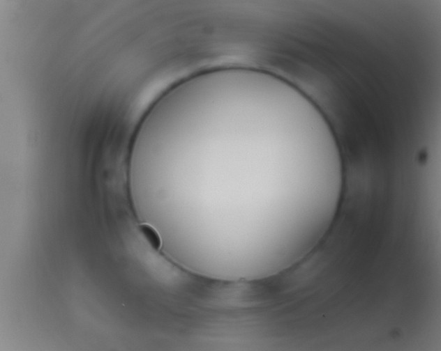 X0000113931288200910161841