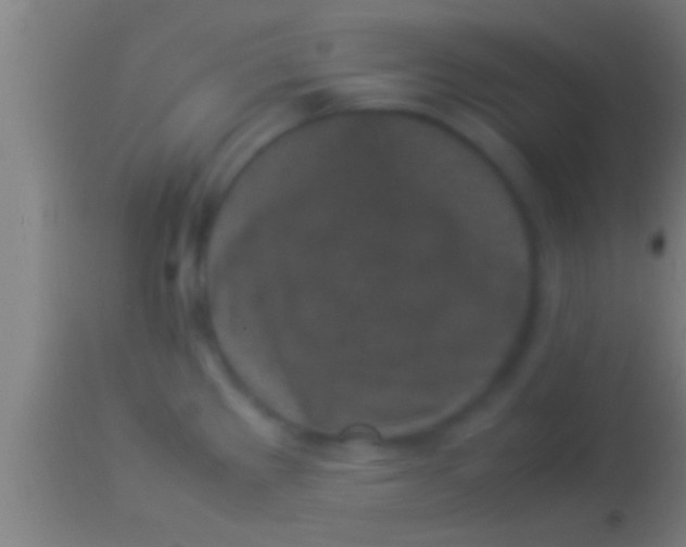 X0000113931289200910161841