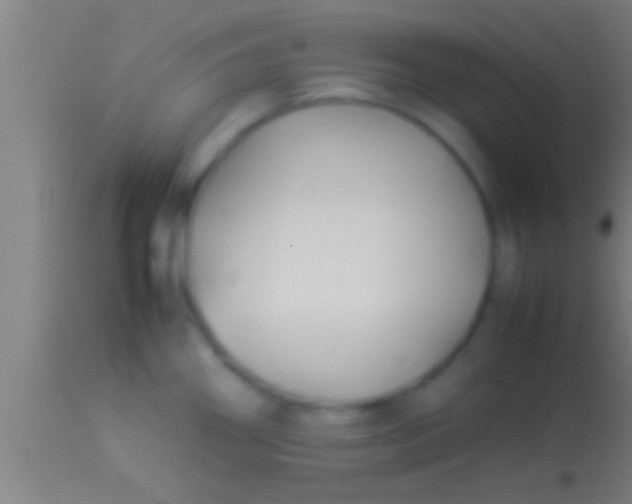 X0000113931290200910161841