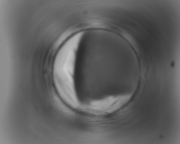 X0000113931291200910161841