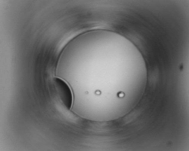 X0000113931292200910161841