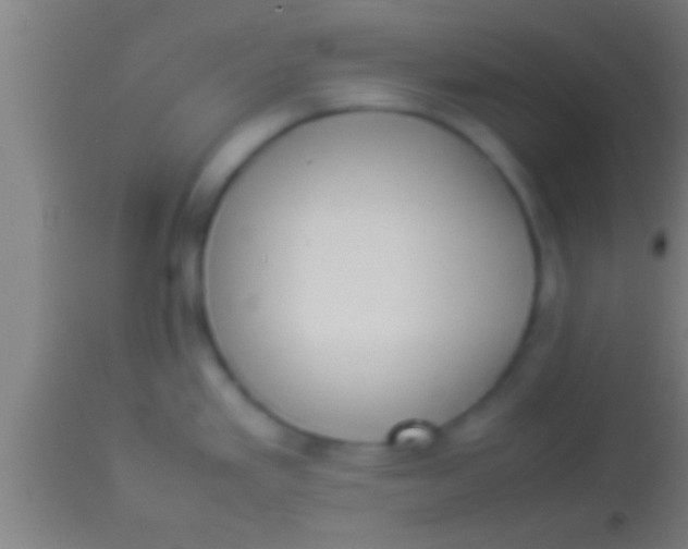 X0000113931293200910161841