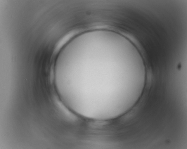 X0000113931294200910161841