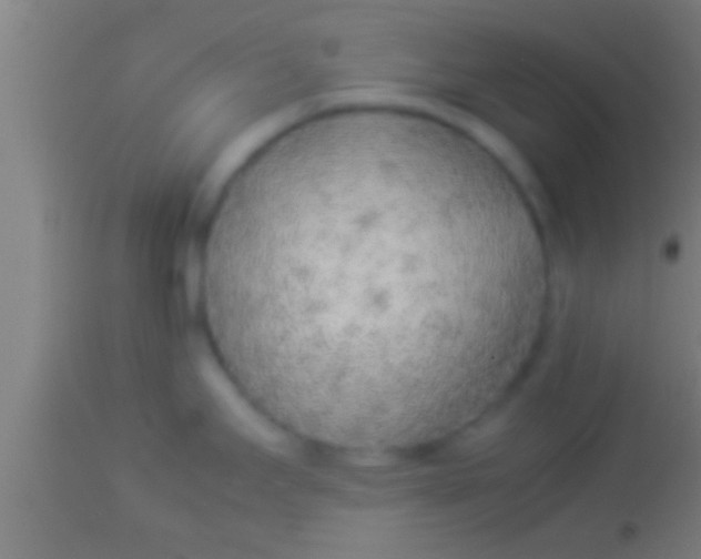 X0000113931295200910161841