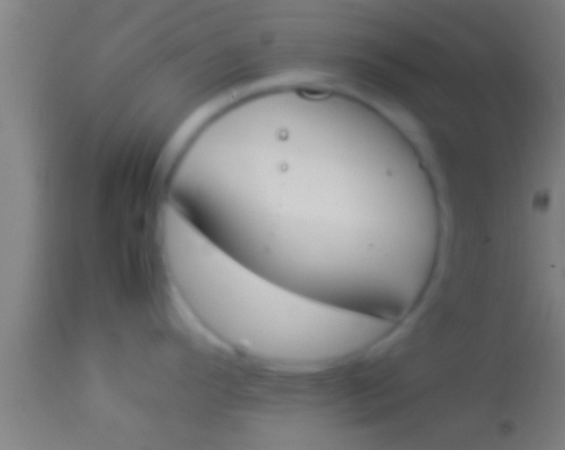 X0000113931296200910161841