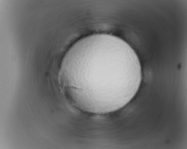 X0000113931297200910161841