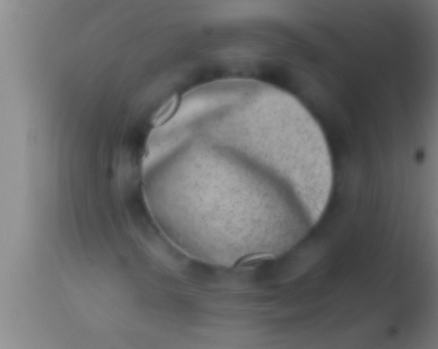 X0000113931298200910161841