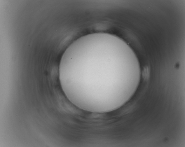 X0000113931299200910161841