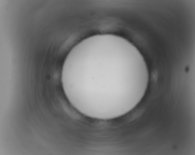 X0000113931300200910161841