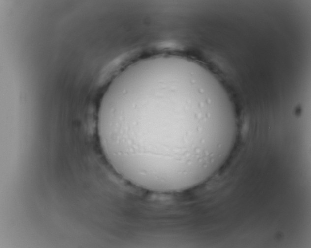 X0000113931301200910161841