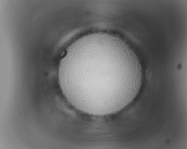 X0000113931302200910161841