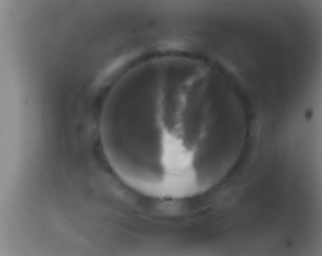 X0000113931303200910161841