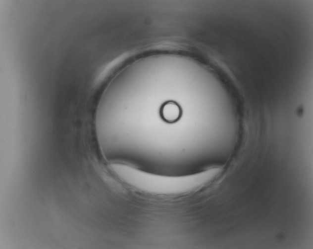 X0000113931304200910161841