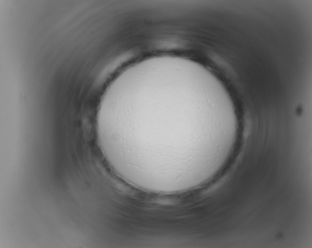 X0000113931305200910161841