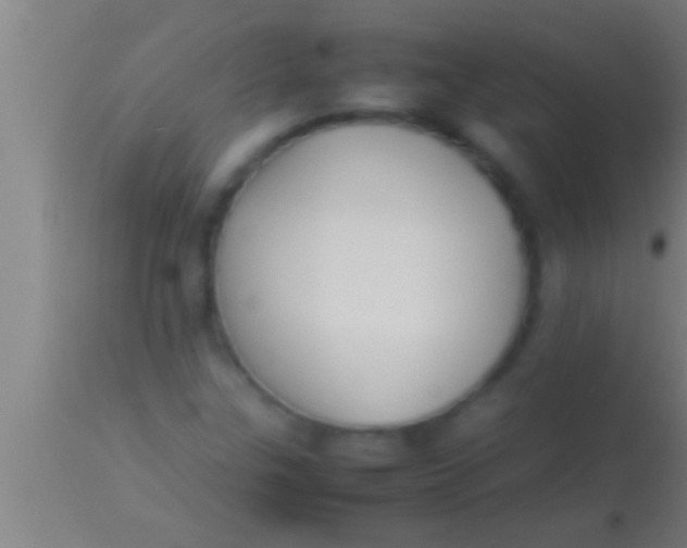 X0000113931307200910161841