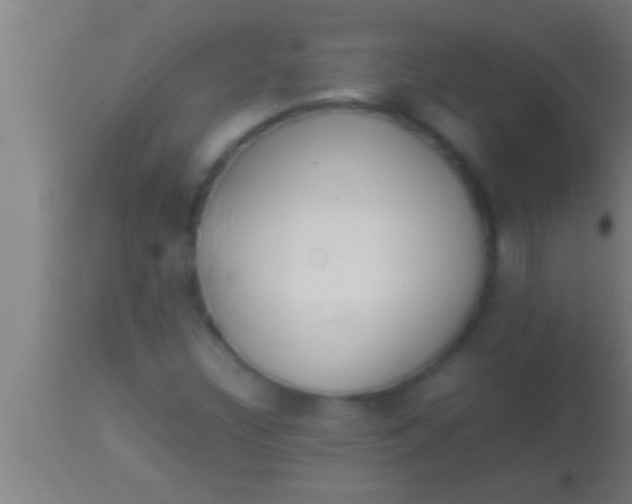 X0000113931308200910161841