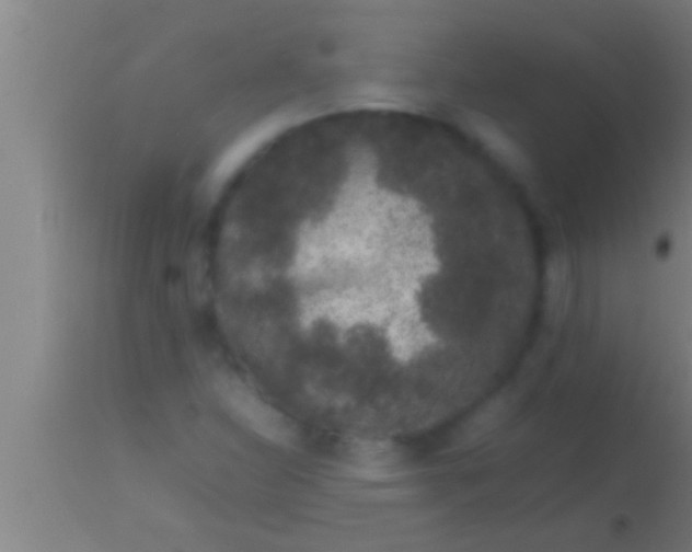 X0000113931310200910161841