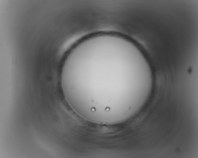 X0000113931311200910161841